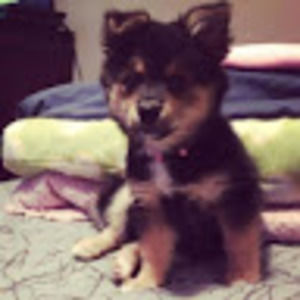 Meet your Posher, Flor